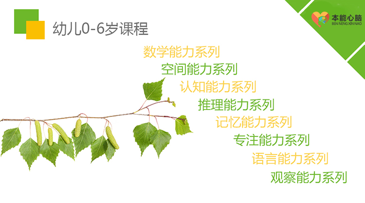 本能心脑(北京)教育科技有限公司