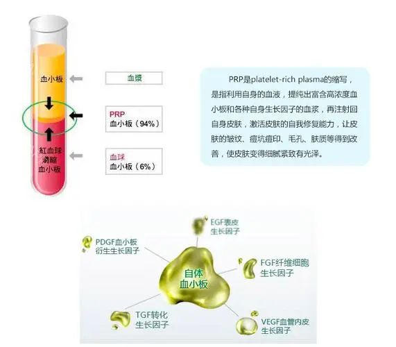 萃博针刀医学研究院